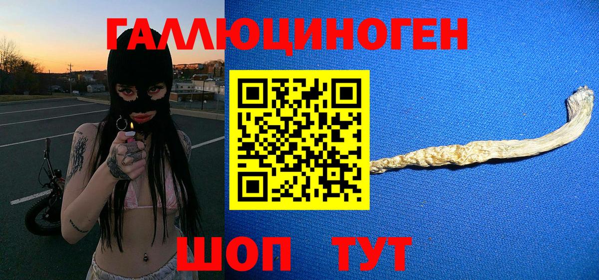 где найти   Вход с VPN  Ростов Великий  Галлюциногенные грибы Psilocybe 